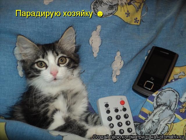 Парадирую хозяйку ☻... Котоматрица: Парадирую хозяйку ☻