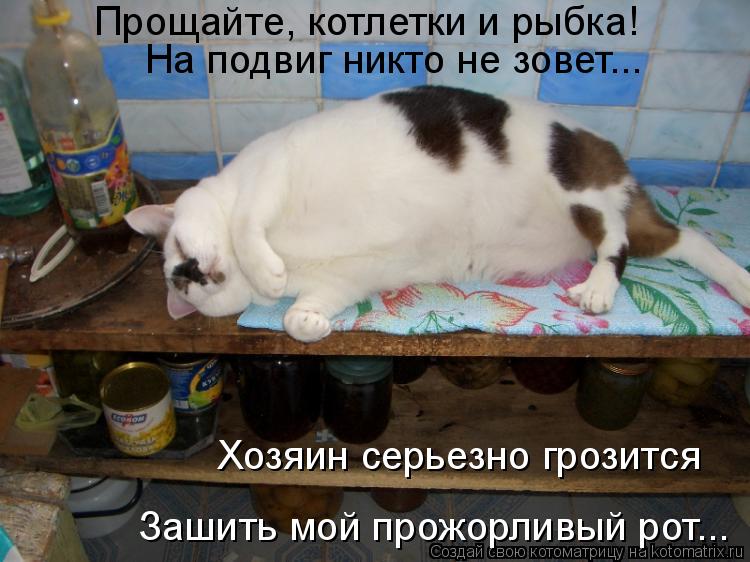 Котоматрица: Прощайте, котлетки и рыбка!  На подвиг никто не зовет... Зашить мой прожорливый рот... Хозяин серьезно грозится
