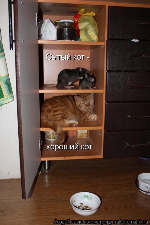 Котоматрица: Сытый кот - хороший кот.