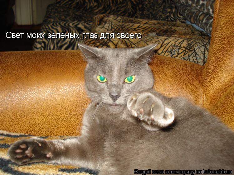 Котоматрица: Свет моих зеленых глаз для своего