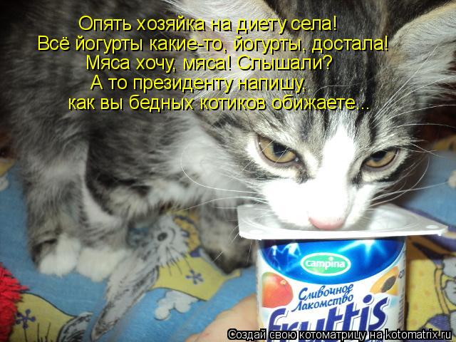 Котоматрица: Опять хозяйка на диету села! Всё йогурты какие-то, йогурты, достала! Мяса хочу, мяса! Слышали?  А то президенту напишу, как вы бедных котиков о