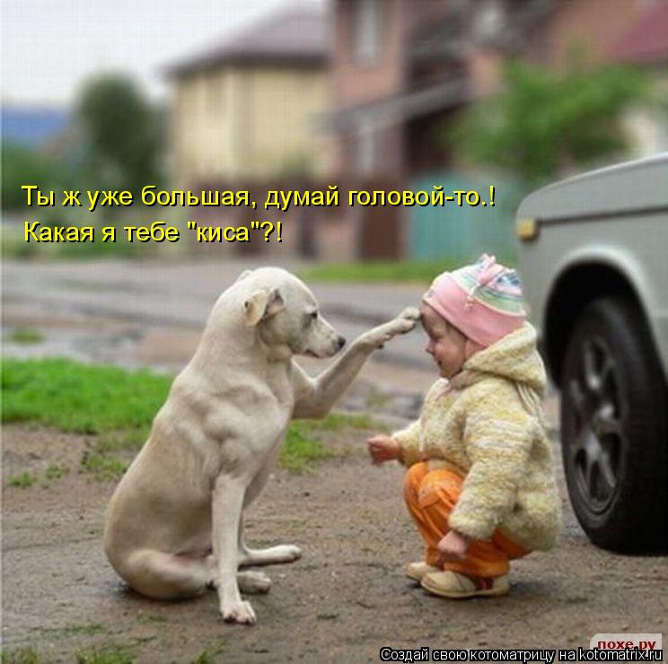 Котоматрица: Ты ж уже большая, думай головой-то.! Какая я тебе "киса"?!