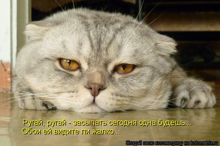 Котоматрица: Ругай, ругай - засыпать сегодня одна будешь...  Обои ей видите ли жалко...