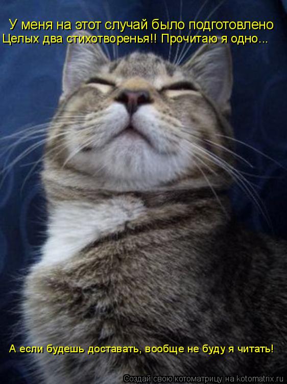 Котоматрица: У меня на этот случай было подготовлено Целых два стихотворенья!! Прочитаю я одно... А если будешь доставать, вообще не буду я читать! А если б
