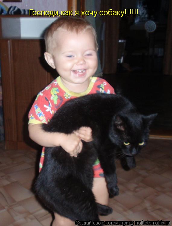Котоматрица: Господи,как я хочу собаку!!!!!!