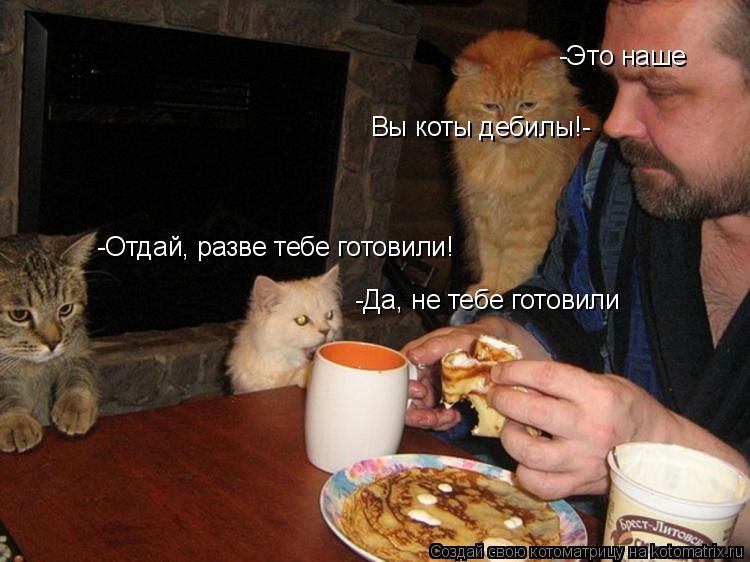 Котоматрица: -Отдай, разве тебе готовили! -Да, не тебе готовили -Это наше Вы коты дебилы!-