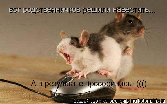 Котоматрица: вот родственничков решили навестить... А в результате поссорились:-((((
