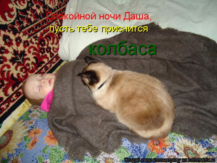 Котоматрица: Спокойной ночи Даша, пусть тебе приснится колбаса