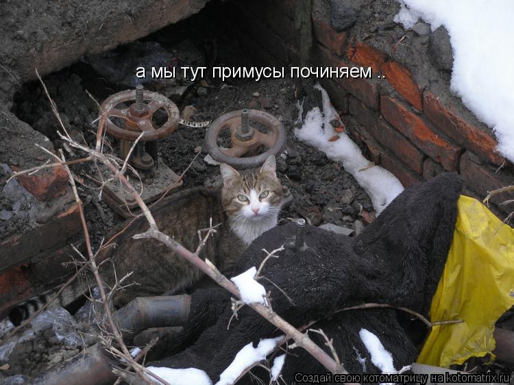 а мы тут примусы починяем ..... Котоматрица: а мы тут примусы починяем ..