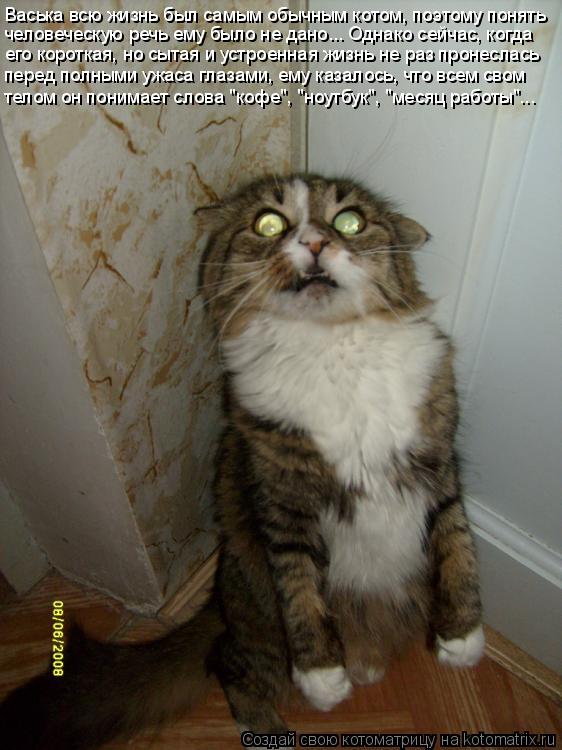 Васька всю жизнь был самым обычным котом, поэтому понять человеческую речь ему было не дано... Однако... Котоматрица: Васька всю жизнь был самым обычным котом, поэтому понять человеческую речь ему было не дано... Однако сейчас, когда его короткая, но сытая и у