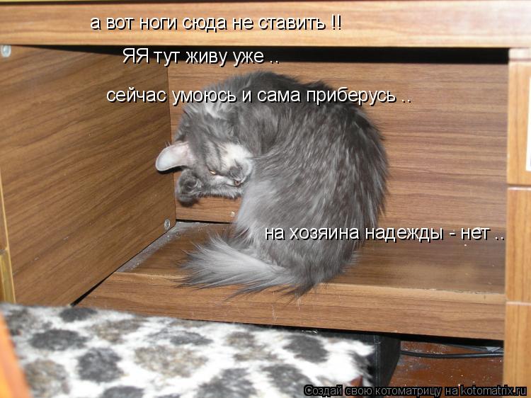 а вот ноги сюда не ставить !! ЯЯ тут живу уже .. сейчас умоюсь и сама приберусь .. на хозяина надежды... Котоматрица: а вот ноги сюда не ставить !! ЯЯ тут живу уже .. сейчас умоюсь и сама приберусь .. на хозяина надежды - нет ..