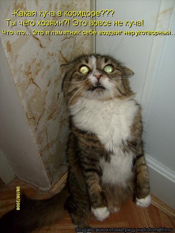 Котоматрица: -Какая куча в коридоре??? Ты чего хозяин?! Это вовсе не куча! Что что... Это я памятник себе воздвиг нерукотворный...