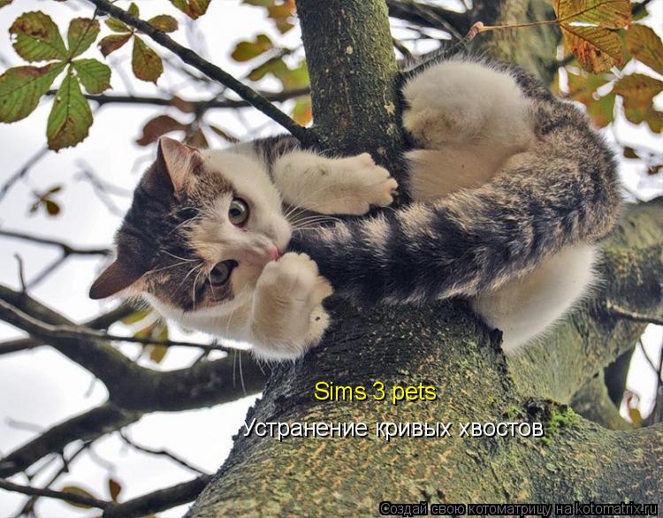 Sims 3 pets Устранение кривых хвостов... Котоматрица: Sims 3 pets Устранение кривых хвостов