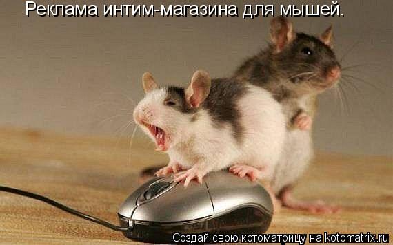 Реклама интим-магазина для мышей.... Котоматрица: Реклама интим-магазина для мышей.