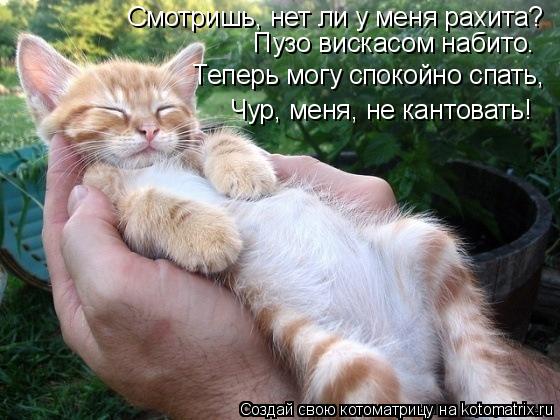 Смотришь, нет ли у меня рахита? Пузо вискасом набито. Теперь могу спокойно спать, Чур, меня, не канто... Котоматрица: Смотришь, нет ли у меня рахита? Пузо вискасом набито. Теперь могу спокойно спать, Чур, меня, не кантовать!