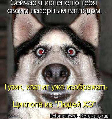 Сейчас я испепелю тебя своим лазерным взглядом... Тузик, хватит уже изображать Циклопа из "Людей ХЭ"... Котоматрица: Сейчас я испепелю тебя своим лазерным взглядом... Тузик, хватит уже изображать Циклопа из "Людей ХЭ"