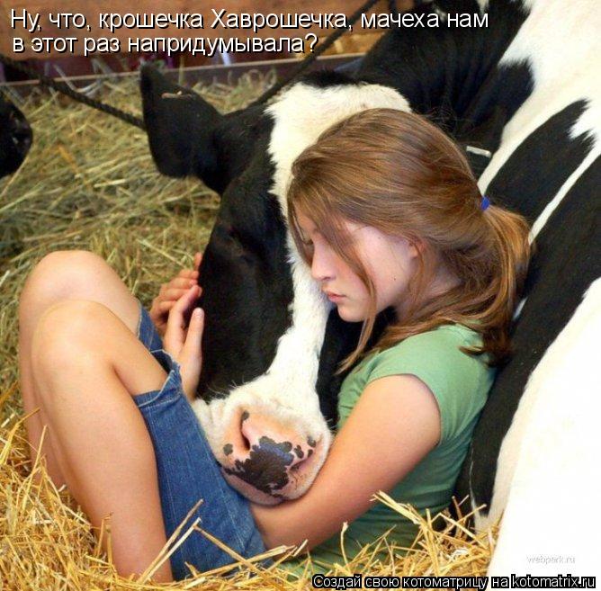 Ну, что, крошечка Хаврошечка, мачеха нам в этот раз напридумывала?... Котоматрица: Ну, что, крошечка Хаврошечка, мачеха нам в этот раз напридумывала?