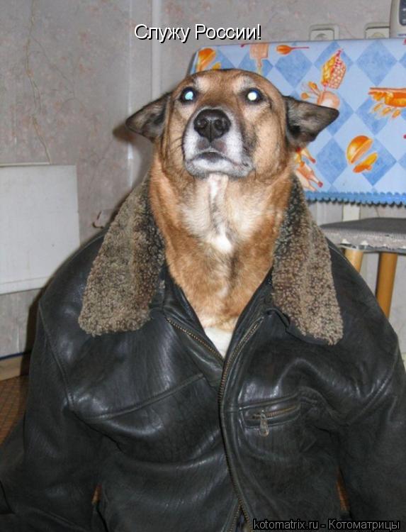 Служу России!... Котоматрица: Служу России!
