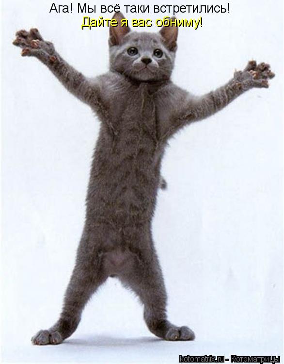 Ага! Мы всё таки встретились! Дайте я вас обниму!... Котоматрица: Ага! Мы всё таки встретились! Дайте я вас обниму!