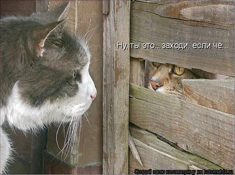 Ну, ты это...заходи, если чё...... Котоматрица: Ну, ты это...заходи, если чё...