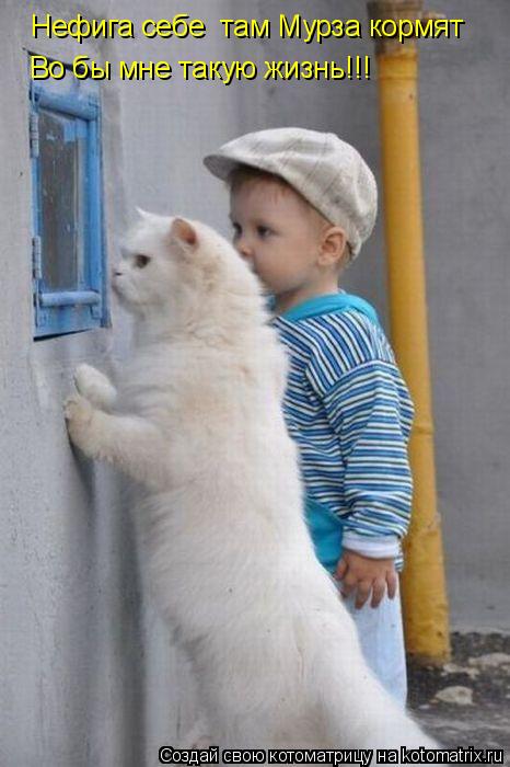 Нефига себе там Мурза кормят Во бы мне такую жизнь!!!... Котоматрица: Нефига себе там Мурза кормят Во бы мне такую жизнь!!!