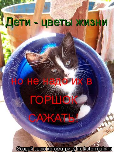 Дети - цветы жизни но не надо их в ГОРШОК САЖАТЬ!... Котоматрица: Дети - цветы жизни но не надо их в ГОРШОК САЖАТЬ!