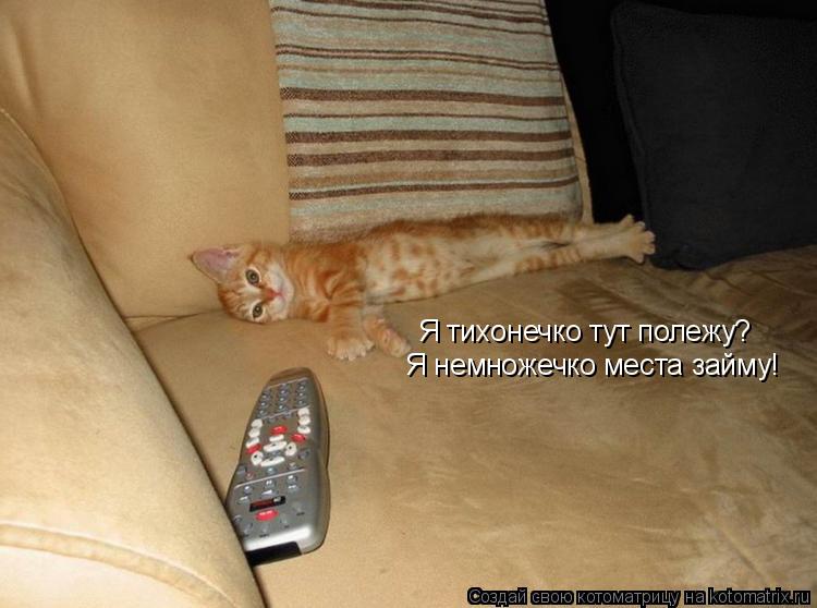 Я тихонечко тут полежу? Я немножечко места займу!... Котоматрица: Я тихонечко тут полежу? Я немножечко места займу!