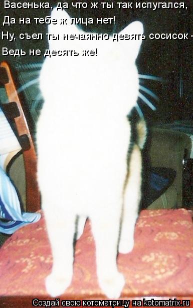 Васенька, да что ж ты так испугался, Да на тебе ж лица нет! Ну, съел ты нечаянно девять сосисок - Вед... Котоматрица: Васенька, да что ж ты так испугался, Да на тебе ж лица нет! Ну, съел ты нечаянно девять сосисок - Ведь не десять же!