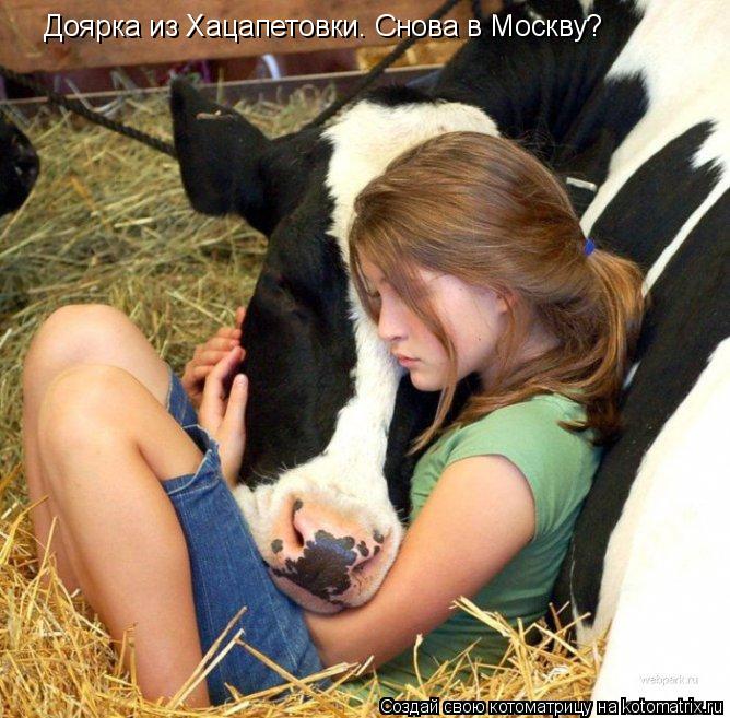Доярка из Хацапетовки. Снова в Москву?... Котоматрица: Доярка из Хацапетовки. Снова в Москву?