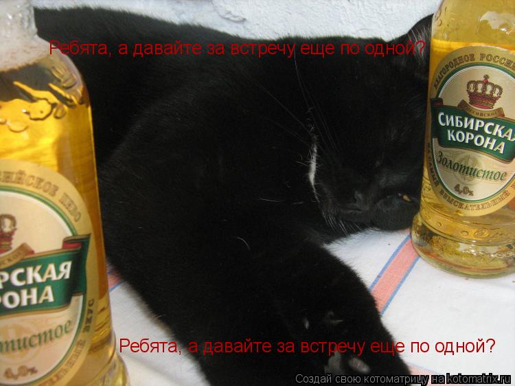 Ребята, а давайте за встречу еще по одной? Ребята, а давайте за встречу еще по одной?... Котоматрица: Ребята, а давайте за встречу еще по одной? Ребята, а давайте за встречу еще по одной?