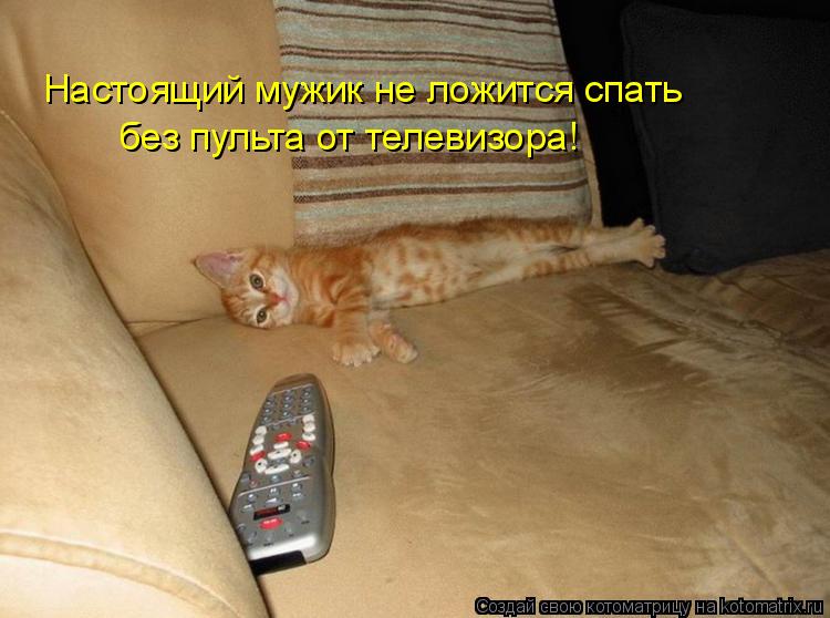 Настоящий мужик не ложится спать без пульта от телевизора!... Котоматрица: Настоящий мужик не ложится спать без пульта от телевизора!
