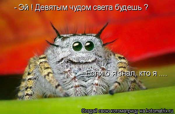 - Эй ! Девятым чудом света будешь ? - Если б я знал, кто я ....... Котоматрица: - Эй ! Девятым чудом света будешь ? - Если б я знал, кто я ....