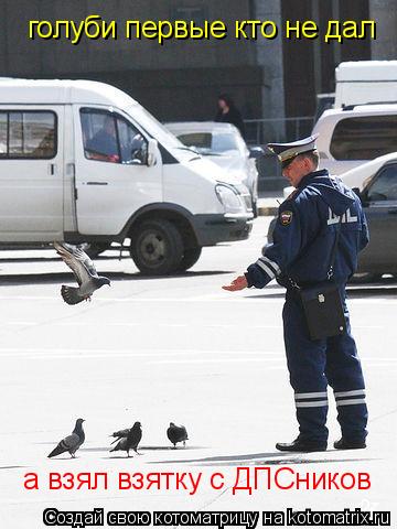 голуби первые кто не дал а взял взятку с ДПСников... Котоматрица: голуби первые кто не дал а взял взятку с ДПСников