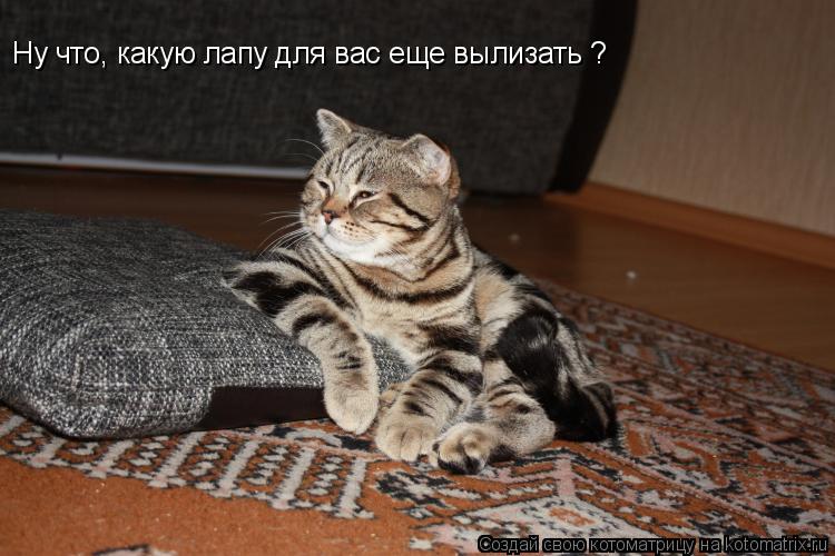 Ну что, какую лапу для вас еще вылизать ?... Котоматрица: Ну что, какую лапу для вас еще вылизать ?