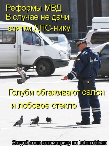 Реформы МВД В случае не дачи взятки ДПС-нику Голуби обгаживают салон и лобовое стекло... Котоматрица: Реформы МВД В случае не дачи взятки ДПС-нику Голуби обгаживают салон и лобовое стекло
