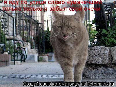 Котоматрица: я иду по улице слово чумачечший  только только я забыл свой очечи