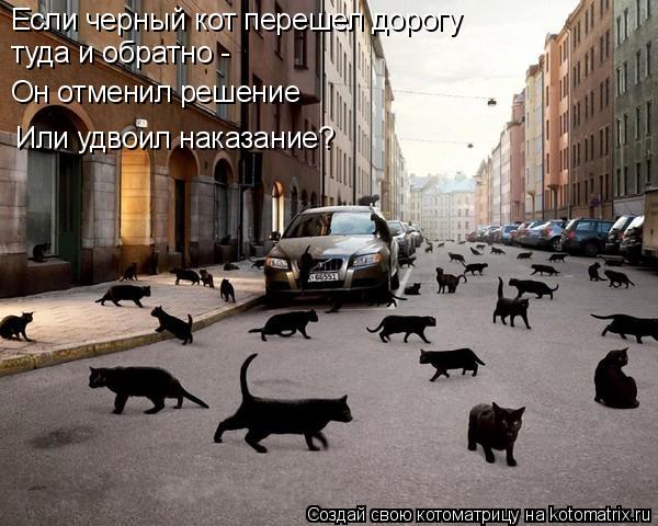 Котоматрица: Если черный кот перешел дорогу туда и обратно - Он отменил решение Или удвоил наказание?