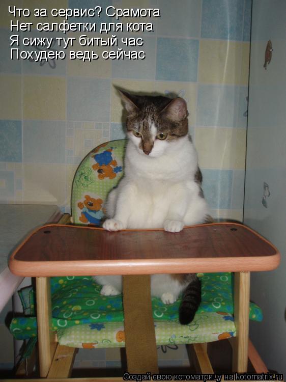 Котоматрица: Что за сервис? Срамота Нет салфетки для кота Я сижу тут битый час Похудею ведь сейчас