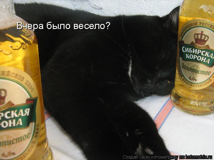 Котоматрица: Вчера было весело?