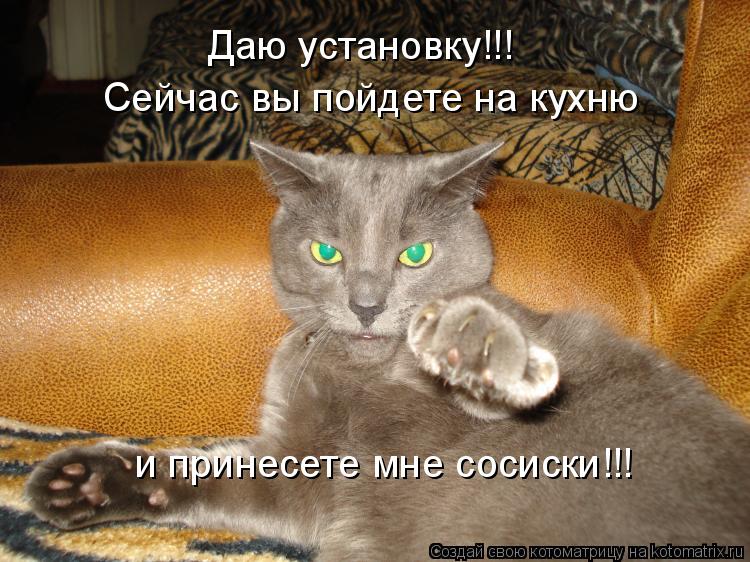 Даю установку!!! Сейчас вы пойдете на кухню и принесете мне сосиски!!!... Котоматрица: Даю установку!!! Сейчас вы пойдете на кухню и принесете мне сосиски!!!