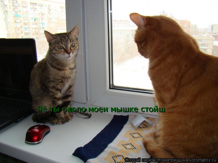 Котоматрица: Чё ты около моеи мышке стойш