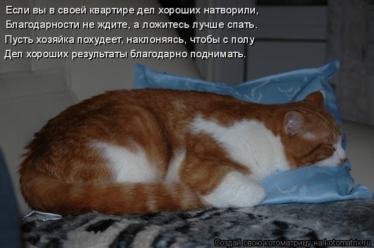 Если вы в своей квартире дел хороших натворили, Благодарности не ждите, а ложитесь лучше спать… Пусть... Котоматрица: Если вы в своей квартире дел хороших натворили, Благодарности не ждите, а ложитесь лучше спать… Пусть хозяйка похудеет, наклоняясь, чтобы с