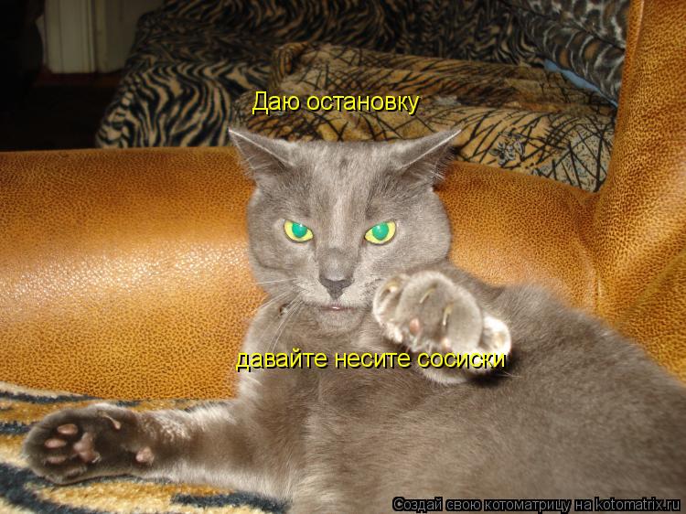 Котоматрица: Даю остановку давайте несите сосиски