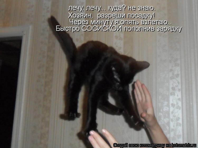 Котоматрица: лечу, лечу... куда? не знаю. Хозяин,  разреши посадку! Через минуту я опять взлетаю.. Быстро СОСИСКОЙ пополнив зарядку