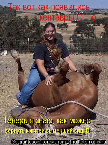 Котоматрица: кентавры O__o вернуть к жизни вымерший вид :D Теперь я знаю, как можно  Так вот как появились