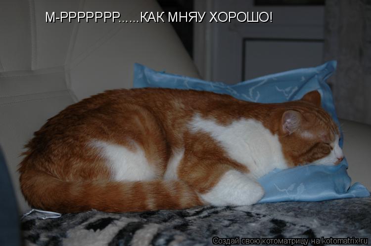 Котоматрица: М-РРРРРРР......КАК МНЯУ ХОРОШО!