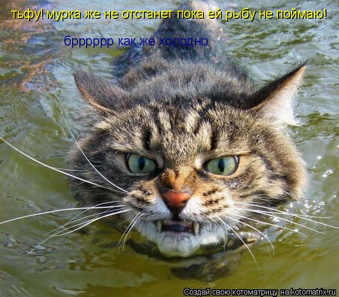 Котоматрица: тьфу! мурка же не отстанет пока ей рыбу не поймаю! брррррр как же холодно