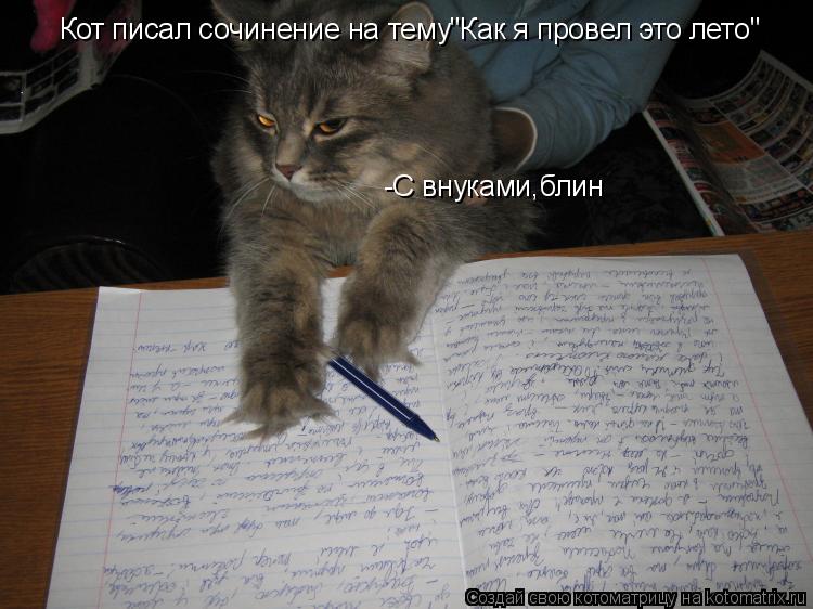 Котоматрица: Кот писал сочинение на тему"Как я провел это лето" -С внуками,блин