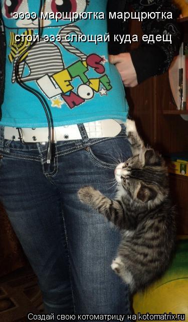 ээээ марщрютка марщрютка стой эээ слющай куда едещ... Котоматрица: ээээ марщрютка марщрютка стой эээ слющай куда едещ