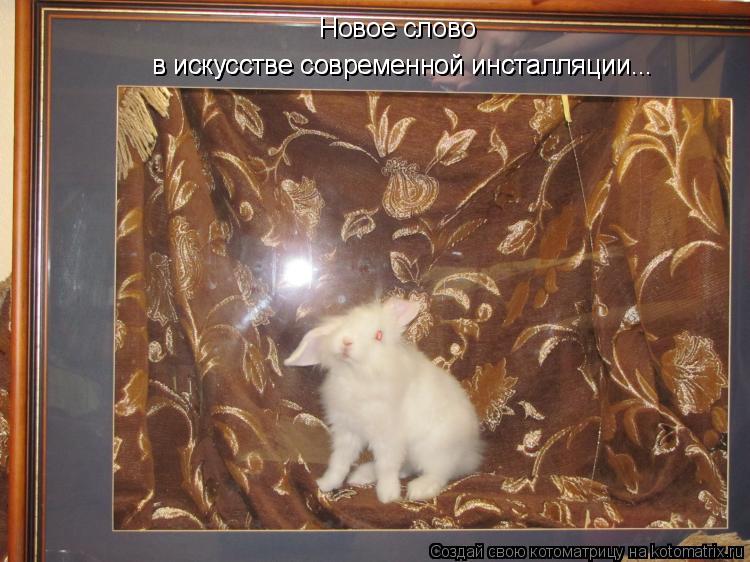 Котоматрица: Новое слово  в искусстве современной инсталляции... в искусстве современной инсталляции...